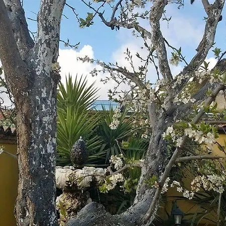 Sant'antonio Garden Alojamento de Acomodação e Pequeno-almoço